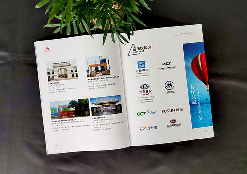 昆明企業(yè)宣傳畫(huà)冊(cè)設(shè)計(jì) 產(chǎn)品宣傳手冊(cè)制作 公司畫(huà)冊(cè)定制